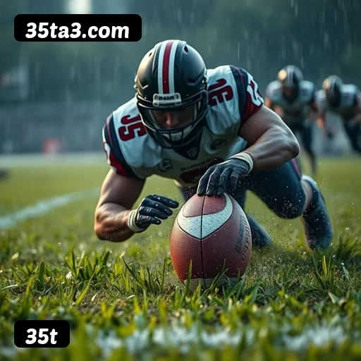 Níveis do programa VIP da 35t